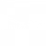 Jaguar-carbone